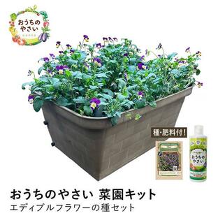 水耕栽培キット 水耕栽培セット プランター栽培セット おうちのやさい 菜園キット エディブルフラワー 有機種子 種 肥料付 ベランダ菜園の画像