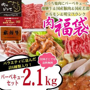 肉 送料無料 福袋 牛肉 バーベキューセット 2.1kg 飛騨牛 国産豚肉 明宝フランク ホルモン バーベキュー 約6〜8人前 焼肉 BBQの画像