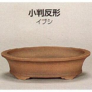 植木鉢 陶器 常滑焼 25T11【和泉屋】小判反形盆栽鉢(11号_イブシ)の画像