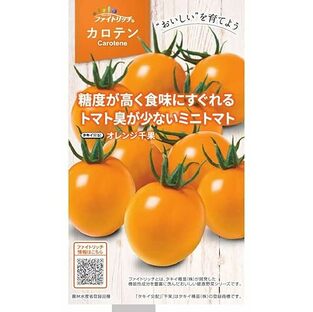 タキイ種苗 カロテンリッチ ミニトマト オレンジ千果の画像