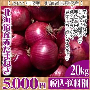 【予約販売】北海道産赤タマネギ（レッドアイII ・ 規格：L玉） （2023年度産）  20ｋｇの画像