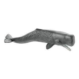 シュライヒ(Schleich) ワイルドライフ マッコウクジラ フィギュア 14764の画像
