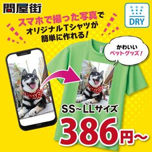 オリジナルTシャツ 作成 300-ACT 自作 写真 スマホ プリント 安い 1枚から ペット グッズ 写真入り 卒業記念品 おもしろ ギフト プレゼント クラスT ドライの画像