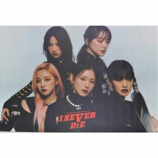 (G)I-DLE I NEVER DIE ポスターBの画像