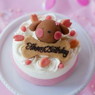 犬用ケーキ 春限定 桜のショートケーキ 犬 ケーキ 猫用ケーキ 期間限定 人気 おすすめ お誕生日 お祝い 記念日 アレルギー かわいい 映えるの画像