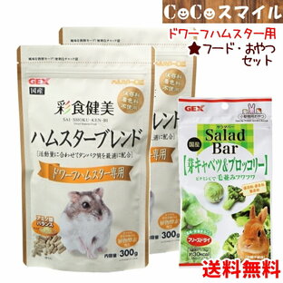 【セット販売】ジェックス GEX 彩食健美 ハムスターブレンド ドワーフハムスター専用 300g×2袋 & サラダバー 芽キャベツ&ブロッコリー 8g×1袋 / 小動物用 ハムスター フード おやつ 野菜の画像