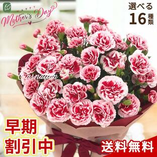 母の日 プレゼント 選べるカーネーション 16色 5号鉢 送料無料 母の日ギフト 花 鉢植え ネット限定の画像