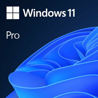Windows 11 Pro 64bit Jpn DSP DVD USB2.0増設ボード セット限定 OS 0889842906004 4943508093814 6501-2710060004877-4943508093814の画像