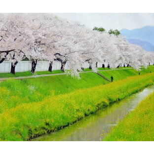 特価油絵 桜並木と菜の花 ma3042の画像