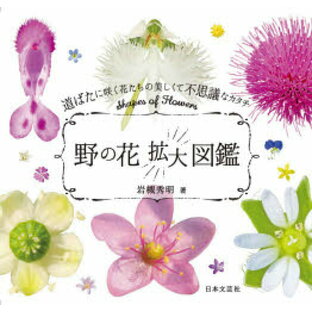 日本文芸社 野の花拡大図鑑 道ばたに咲く花たちの美しくて不思議なカタチの画像