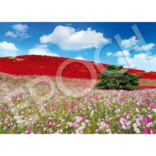 エポック社 500ピース ジグソーパズル 日本風景 コスモス輝く秋色の丘-茨城 (38×53cm) 05-207s のり付き ヘラ付き 点数券付き EPOCHの画像