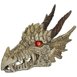 Penn-Plax Deco-Replicas Dragon Skull Gazer Aquarium Decoration ? Safe for Freshwater and Saltwater Fish Tanks ? Largeの画像