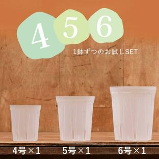 ネガミエル 植木鉢 透明 プラ鉢 透明スリット4・5・6SET [4号、5号、6号×各1]の画像