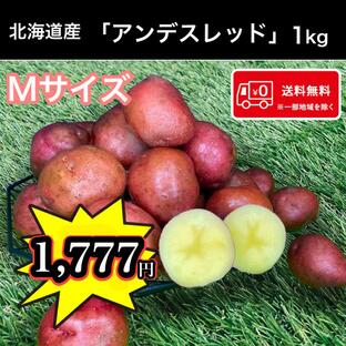 希少じゃがいも 北海道産 アンデスレッド Mサイズ 1kg 送料無料 お試し じゃがいも 馬鈴薯の画像
