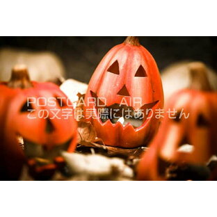 【季節のポストカード】 パンプキン ハロウィン カボチャ かぼちゃ 葉書ハガキの画像
