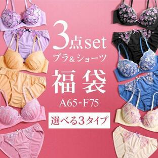 shirohato ブラジャー ショーツ 3点セット 福袋 選べる3タイプ 刺繍レース Aの画像