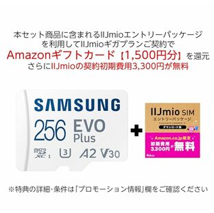 【Amazonギフトカード1500円分還元】Samsung microSDカード 256GB EVO Plus + IIJmioえらべるSIMカード エントリーパッケージの画像