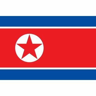 朝鮮民主主義人民共和国・北朝鮮 ミニ卓上旗の画像