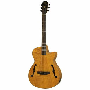 【送料込】【ケース付】ARIA アリア FET-F2 STBR Stained Brown エレクトリック・アコースティック ギター エレアコの画像