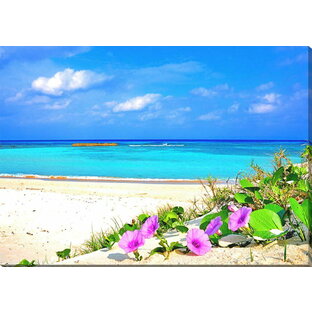 風景写真パネル 沖縄 波照間島の海とハマヒルガオ 側面画像あり ニシ浜 ボタニカル アートパネル グラフィックアート ウォールデコ インテリア 風水 大自然 花 海 砂浜 解放感 癒やし おしゃれ HT-001-M20skmの画像