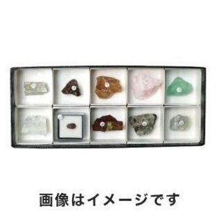 東京サイエンス 鉱物標本(蛍光鉱物標本10種) 3-655-08の画像