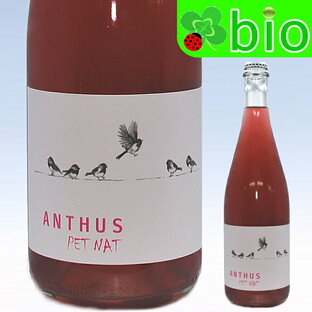 アンサス ロゼ・ペット・ナット(Lot2022)(サンスフル)グアポス・ワイン・プロジェクト Anthus Ros? Pet-Nat Guapos Wine Projectの画像