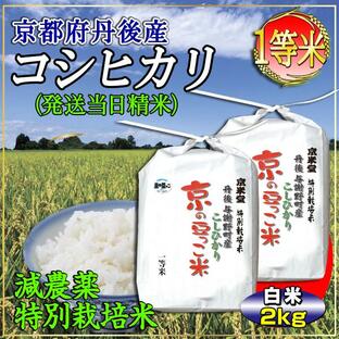 お米 2kg コシヒカリ 当日精米 京都米 丹後産 京の豆っこ米（分づき可能・一等米・特別栽培米） 令和5年産の画像