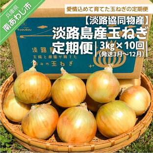 【ふるさと納税】【淡路協同物産】淡路島産玉ねぎ 定期便 3kg × 10回（発送3月～12月）淡路島 玉ねぎ 玉葱 国産 野菜 オニオン サラダ マリネ スープ ハンバーグ カレー 送料無料 お取り寄せ グルメ お買い物マラソンの画像