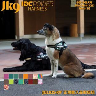 Size0-1-2 カラー2 ユリウスK9 中型犬 大型犬 IDCパワーハーネス胸囲58~96cmの画像