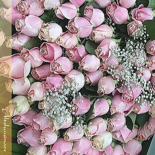 ピンクのバラの花束 ピンクダイヤ 最高級50本のブーケの画像