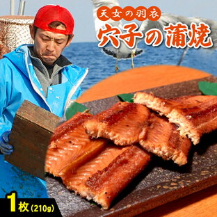 【ふるさと納税】 あなご 蒲焼き「天女の羽衣アナゴ」210g×1枚 仕込み醤油 タレ付き 山椒付き 国産 穴子 真あなご 無添加 冷凍 真空 特産品 お取り寄せ グルメ 贈答 お祝い ギフト プレゼント 父の日 母の日の画像