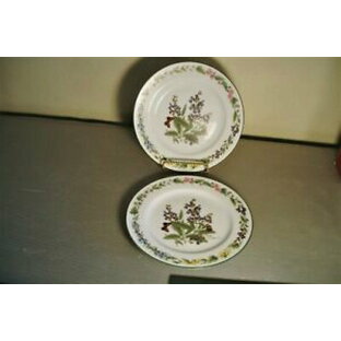 【送料無料】キッチン用品・食器・調理器具・陶器 ロイヤルウスター「ウスターハーブ」セージサラダプレートのセットSet of 2 Royal Worcester Worcester Herbs Sage 8 1/2 Salad Platesの画像