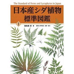 日本産シダ植物標準図鑑1の画像