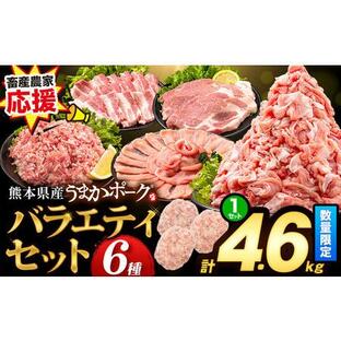 ふるさと納税 数量限定★生産者応援★ 豚肉 小分け バラエティセット4.6kg うまかポーク《30日以内に出荷予定(土日祝除く)》｜豚肉豚肉豚肉豚肉.. 熊本県大津町の画像