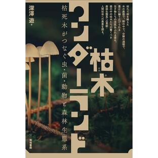 深澤遊 枯木ワンダーランド 枯死木がつなぐ虫・菌・動物と森林生態系 Bookの画像