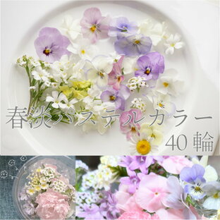 エディブルフラワー IZUMIYAMASAKI 春淡カラー ミックス 40輪 食用花 自然栽培 エディブルフラワー ビオラ アリッサムなどの画像
