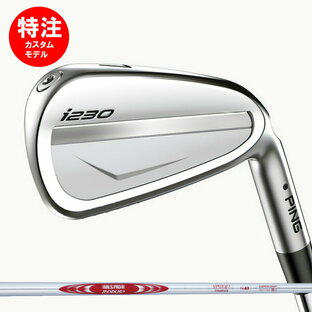 【カスタム】PING/ピン i230 アイアン スチールシャフト[日本仕様モデル] N.S.PRO MODUS3 TOUR 125 シャフト 6本セット(#5～PW)の画像