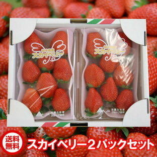 栃木県産 いちご スカイベリー2パック とちおとめより大きい ギフト イチゴ 冷蔵便 送料無料 苺 スカイ2P JAの画像