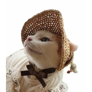 猫ハット 麦わら帽子 猫 犬 帽子 可愛い かぶりもの おしゃれ ペットグッズ ペット用品 コスプレ リボン SNS映え リボンが可愛いペットハット(チョコ、S)の画像