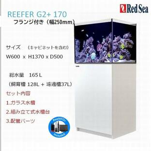 レッドシー リーファーG2+ 170フランジ付き ホワイト Red sea REEFERの画像