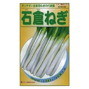 カネコ種苗 園芸・種 KS100シリーズ 石倉ねぎ 野菜100 523の画像