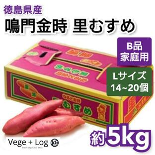 徳島県産 鳴門金時 里むすめ JA里浦 約5kg Lサイズ 14〜20個前後入 B品 少し訳あり ご家庭用 ブランドさつまいも 本州送料無料の画像