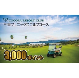 【1-324】ココパリゾートクラブ三重フェニックスゴルフコース ココパポイント【3,000ポイント】の画像