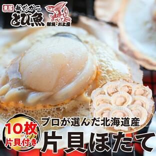 ほたて ホタテ 片貝 10枚入 北海道産 加熱用 殻付き 冷凍の画像