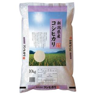米 10kg コシヒカリ新潟産  新潟県 お米 白米 おこめの画像