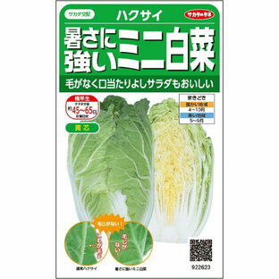 【エントリーでポイント10倍】サカタのタネ ハクサイ 暑さに強いミニ白菜【2024/9/4 20時 -9/11 1時59分】の画像