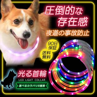 犬 首輪 光る レインボー おしゃれ LED ライト USB 充電式 猫 光る首輪 ペット 夜 散歩の画像