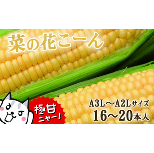 朝採れ とうもろこし「菜の花こーん」16～20本 A3L～A2Lサイズの画像