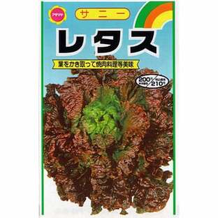 【タネ】サニーレタス 野菜の種 アタリヤ農園 種 1袋(5.5mL)の画像