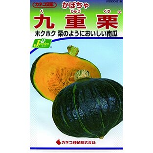 カネコ種苗 野菜タネハイクオリティ218 かぼちゃ 九重栗 10袋セットの画像